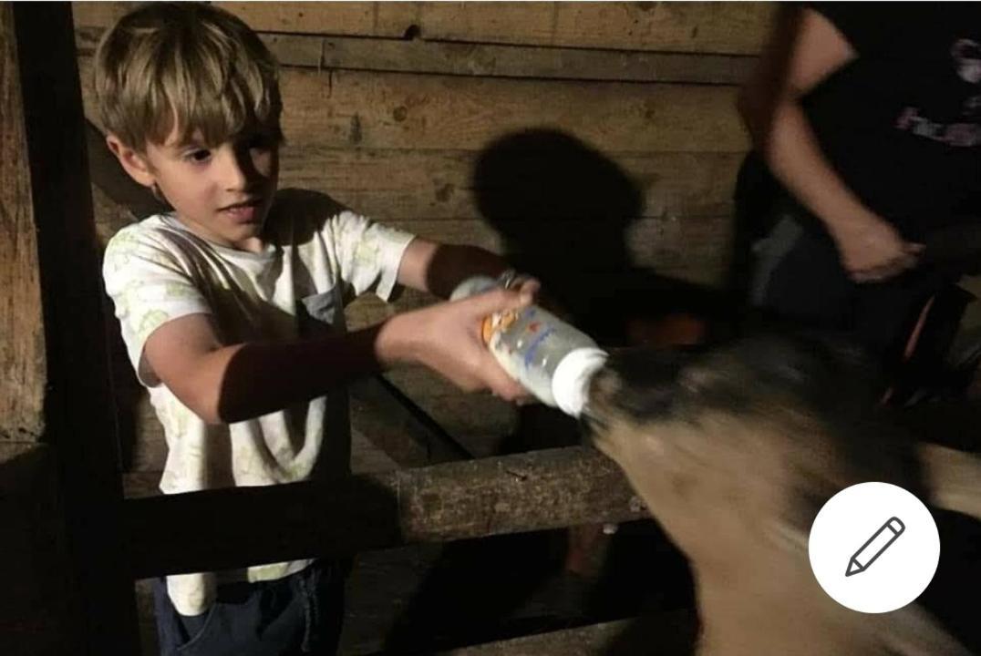Mala Farma Nani Villa Visoko Dış mekan fotoğraf