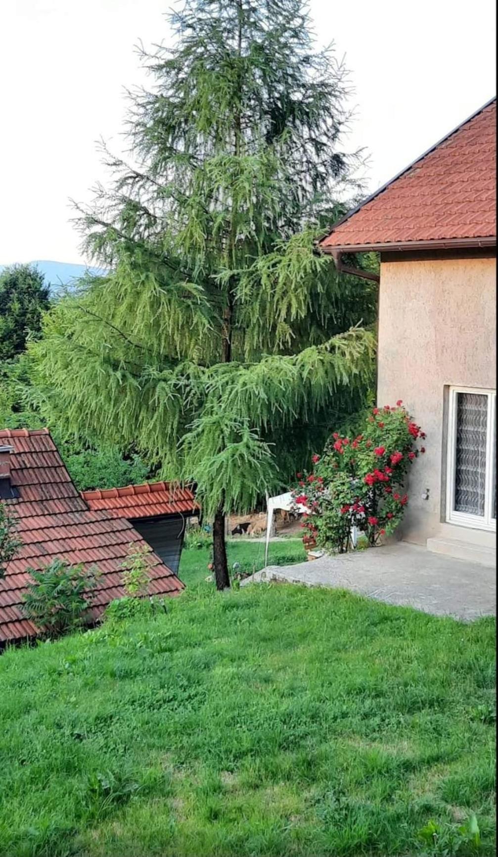 Mala Farma Nani Villa Visoko Dış mekan fotoğraf