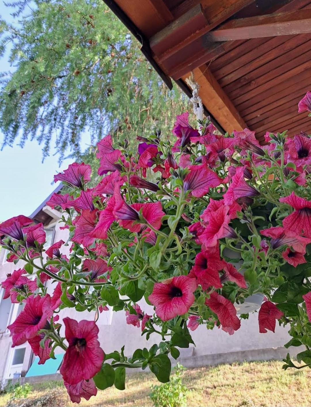 Mala Farma Nani Villa Visoko Dış mekan fotoğraf