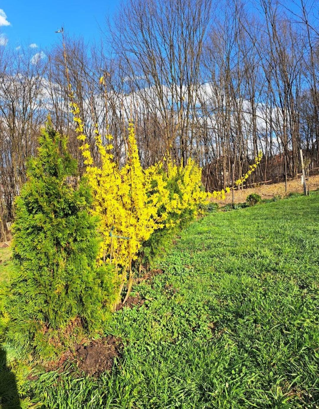Mala Farma Nani Villa Visoko Dış mekan fotoğraf