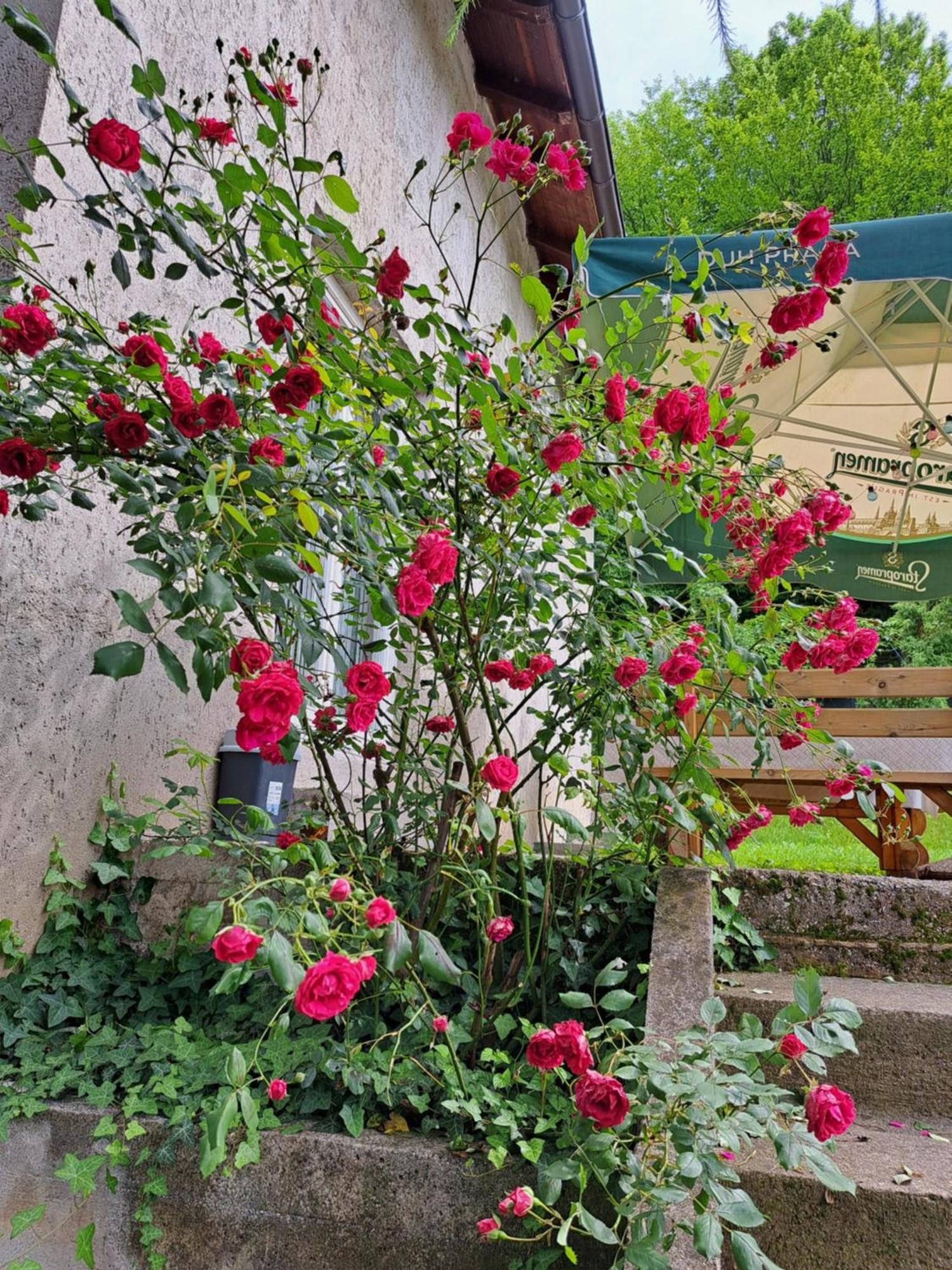 Mala Farma Nani Villa Visoko Dış mekan fotoğraf
