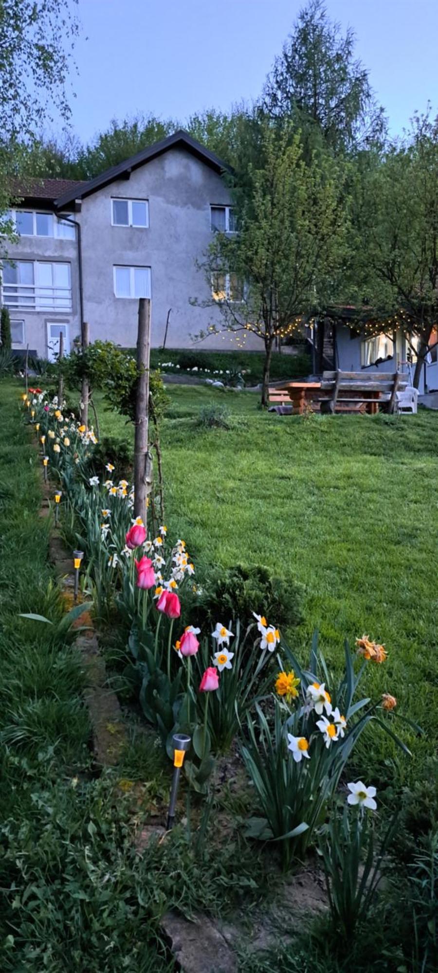 Mala Farma Nani Villa Visoko Dış mekan fotoğraf