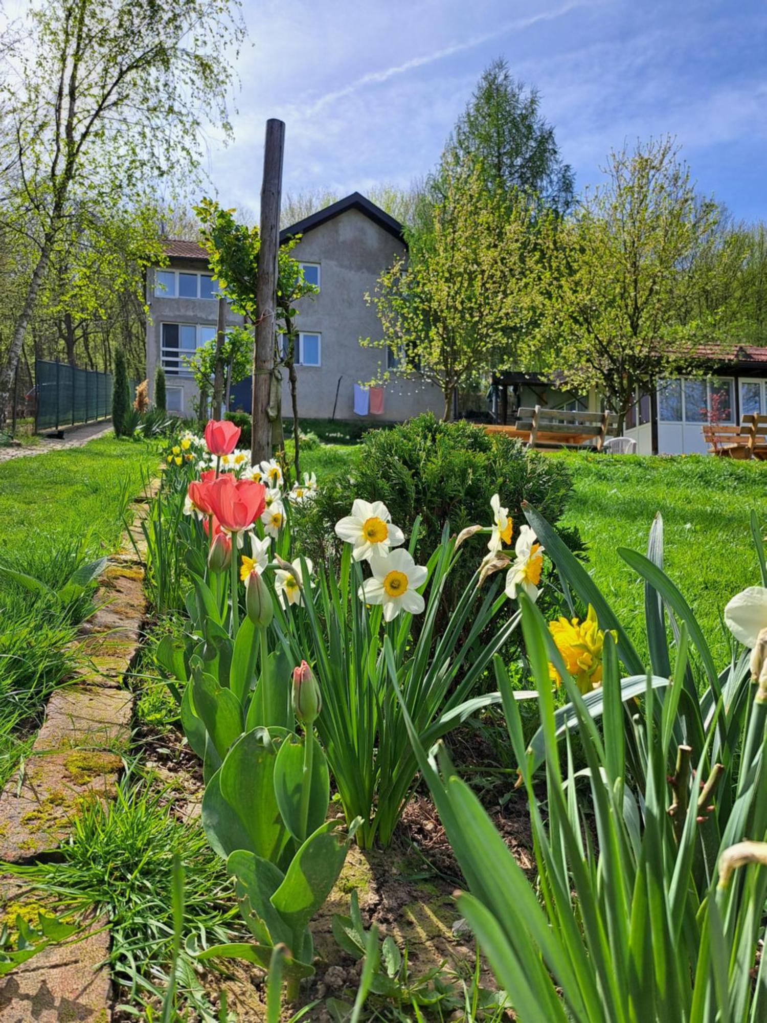 Mala Farma Nani Villa Visoko Dış mekan fotoğraf