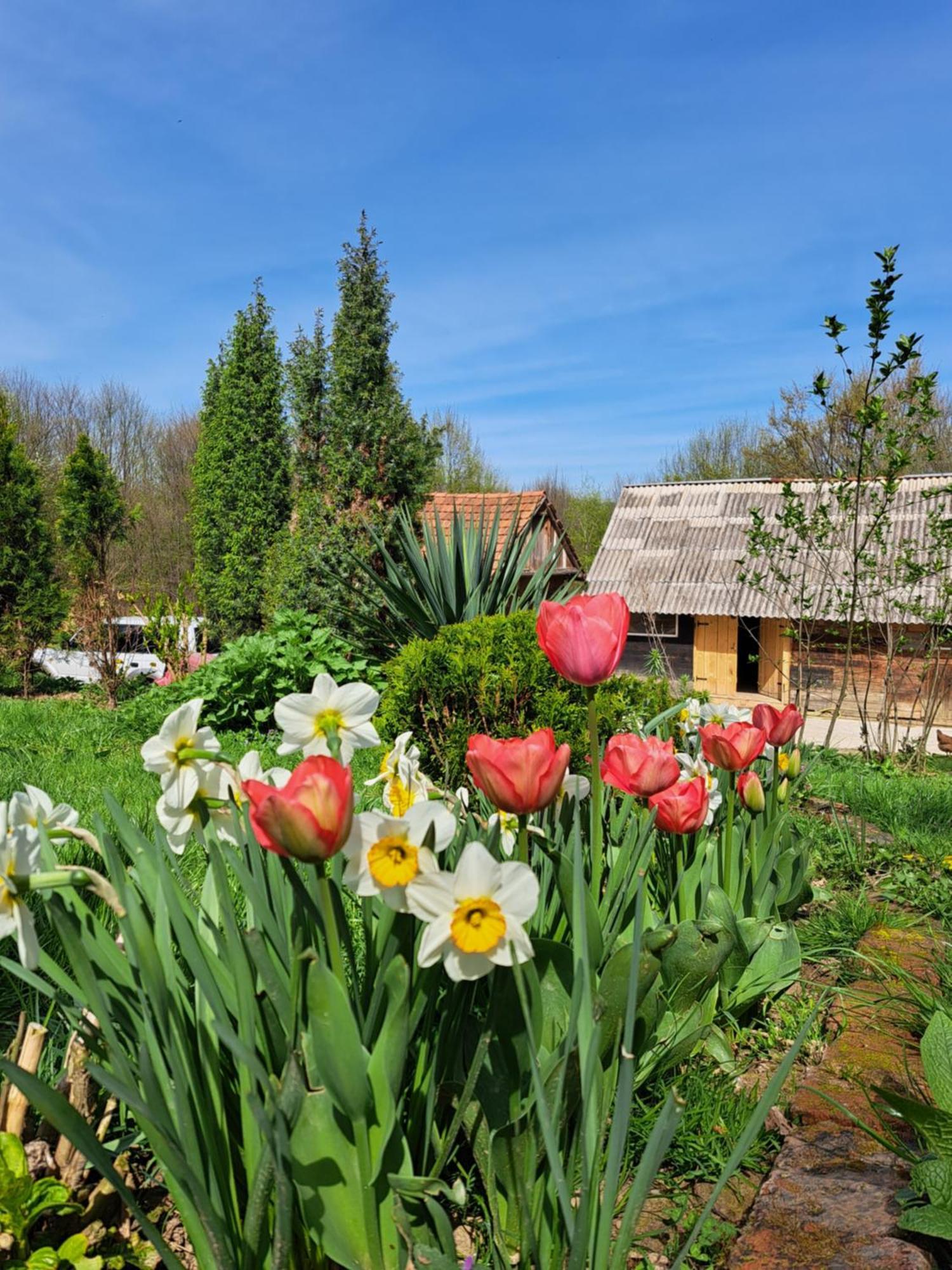 Mala Farma Nani Villa Visoko Dış mekan fotoğraf